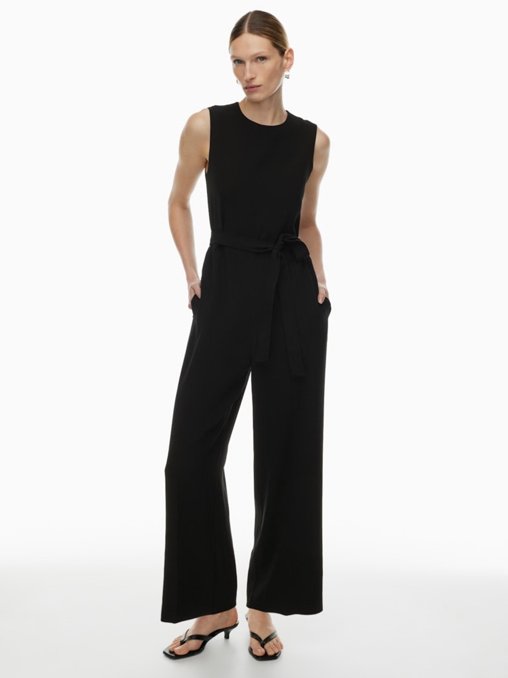 NWT Aritzia Babaton Office Jumpsuit